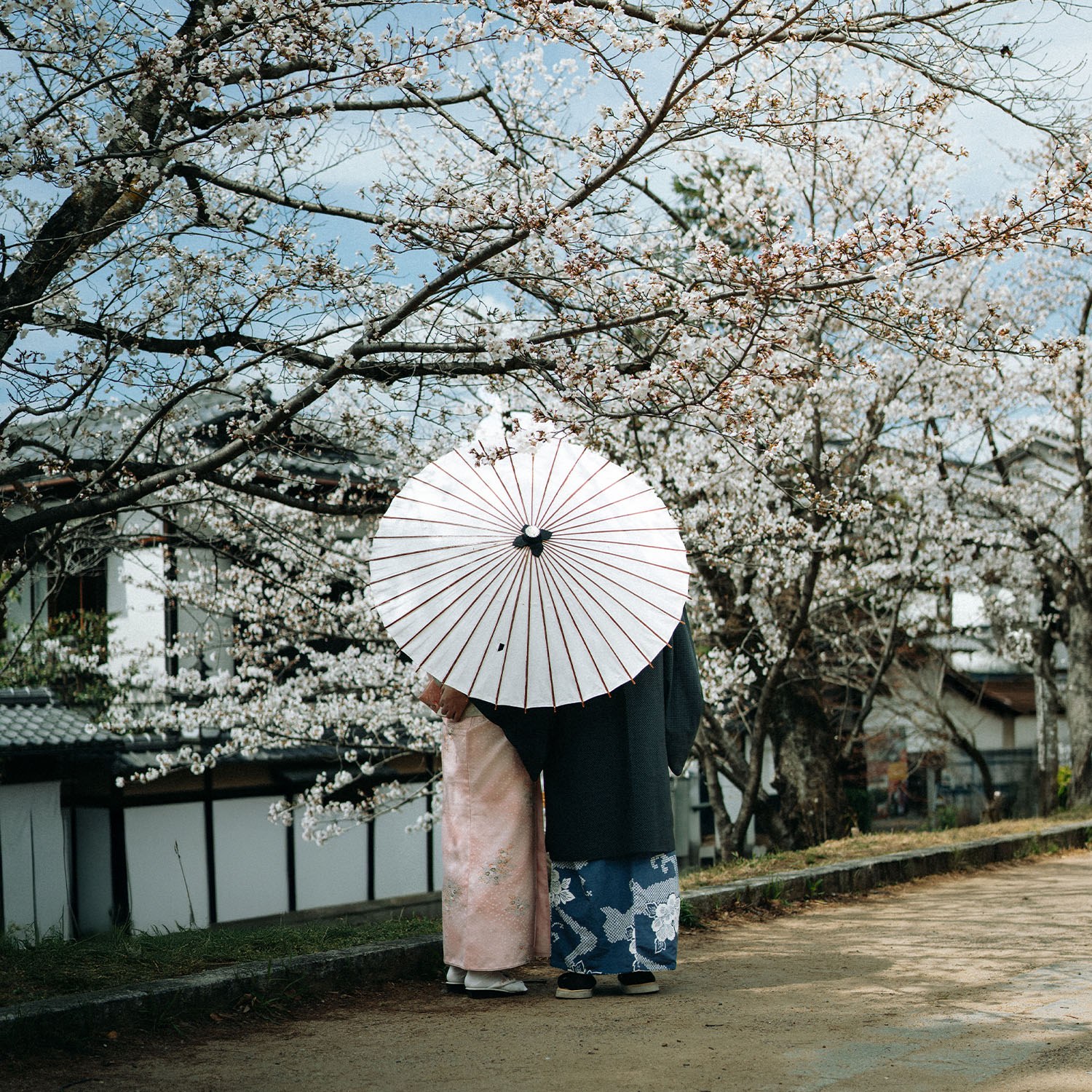 Japan preview Regent copy