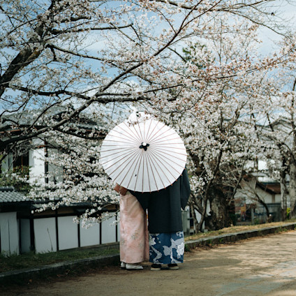 Japan preview Regent copy