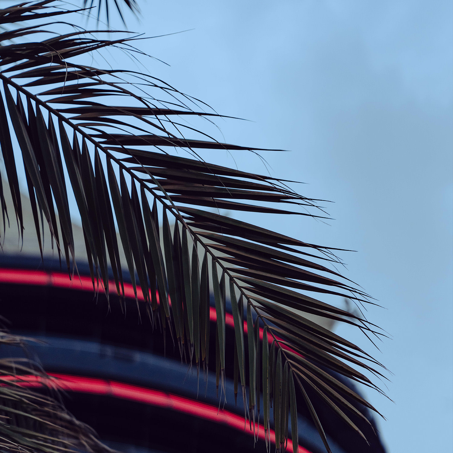 Bahrain race page copy image 6