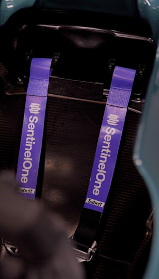 F1 seatbelts