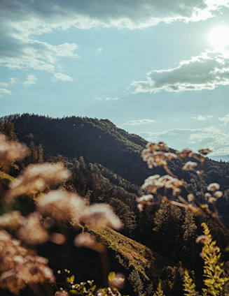 Austria race page thumbnail 1