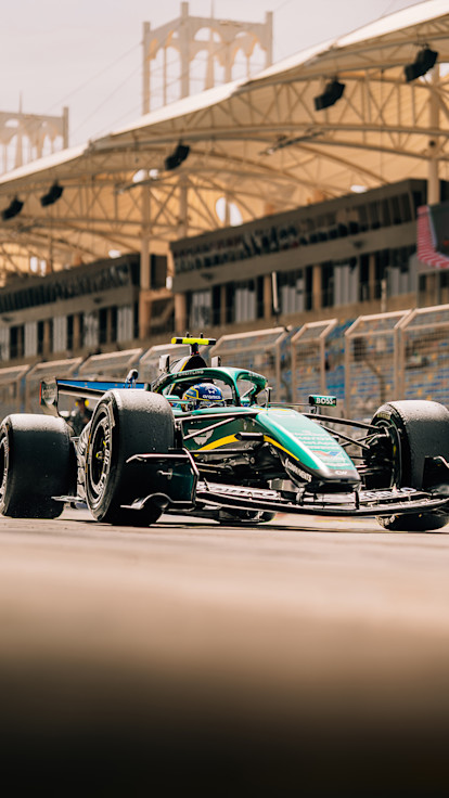 Race page header portrait