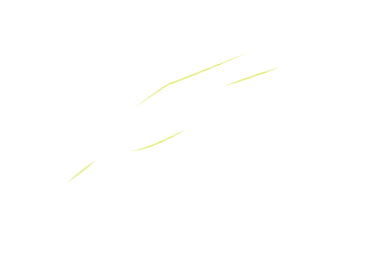 Straight Line Belgium