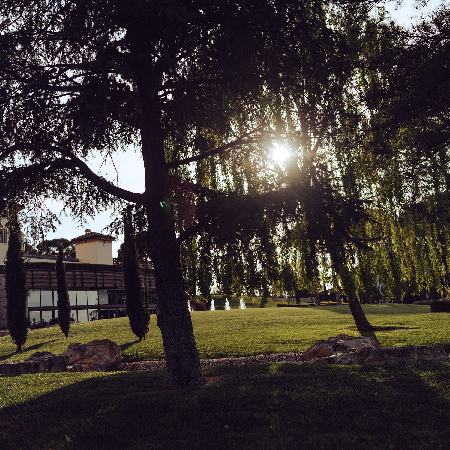 Imola race page race