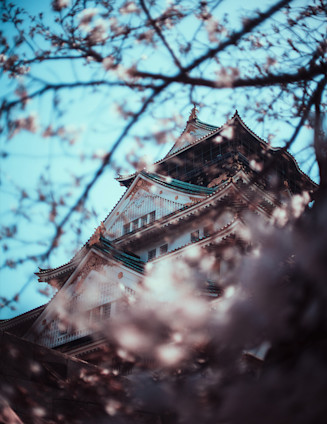 Japan preview Regent thumbnail