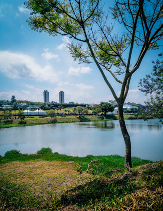 The essential São Paulo travel guide with Regent Seven Seas Cruises