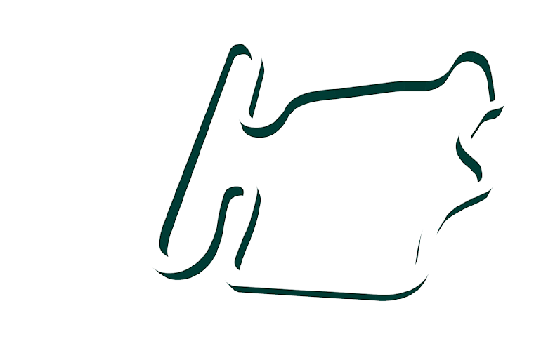 2023 Hungarian Grand Prix track map