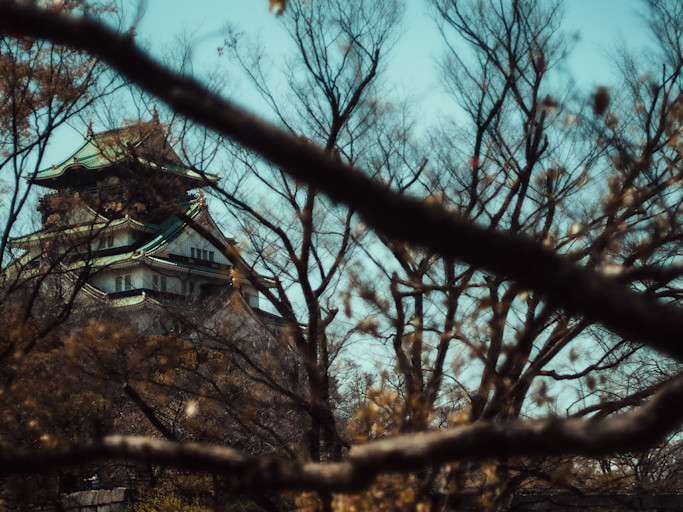 2025 Japan race page banner 50:50