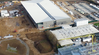 Juniper tree planting mobile hero