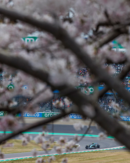 GP2404 015624 ONZ3367 header portrait