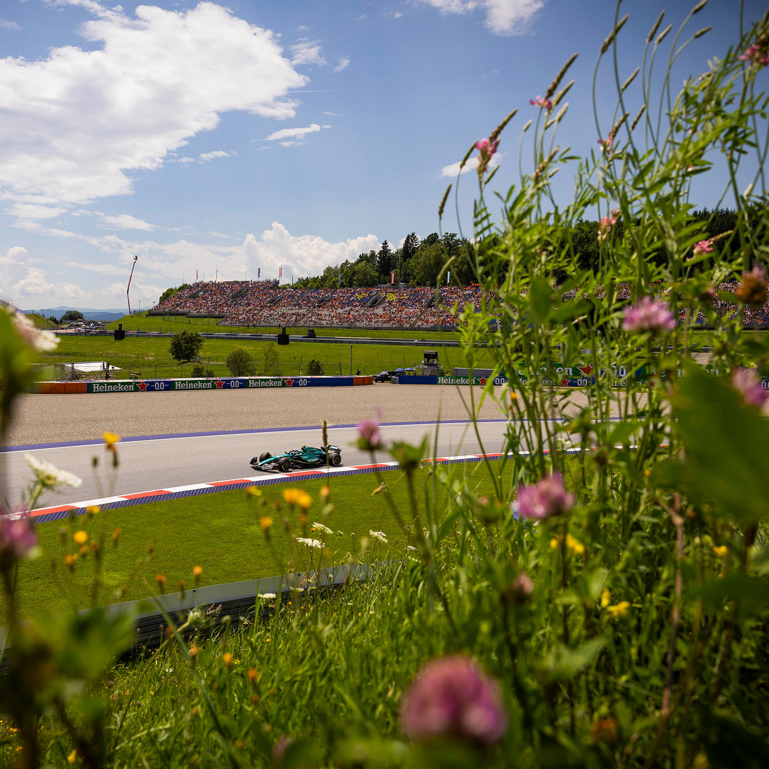 Austria race page copy 6