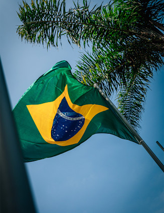 Ultimate São Paulo Grand Prix facts
