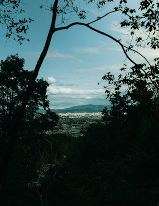 Japan preview landscape thumbnail