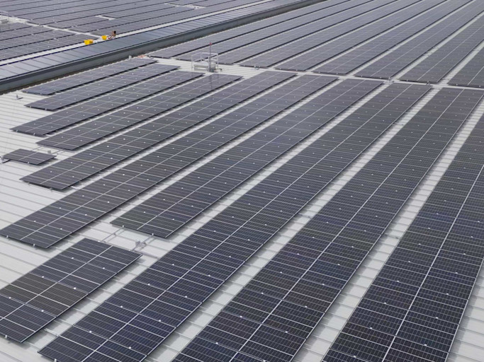 environmental policy make a mark page