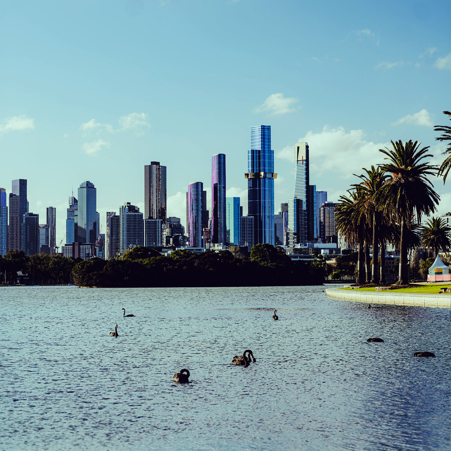 Australia race page regent 2