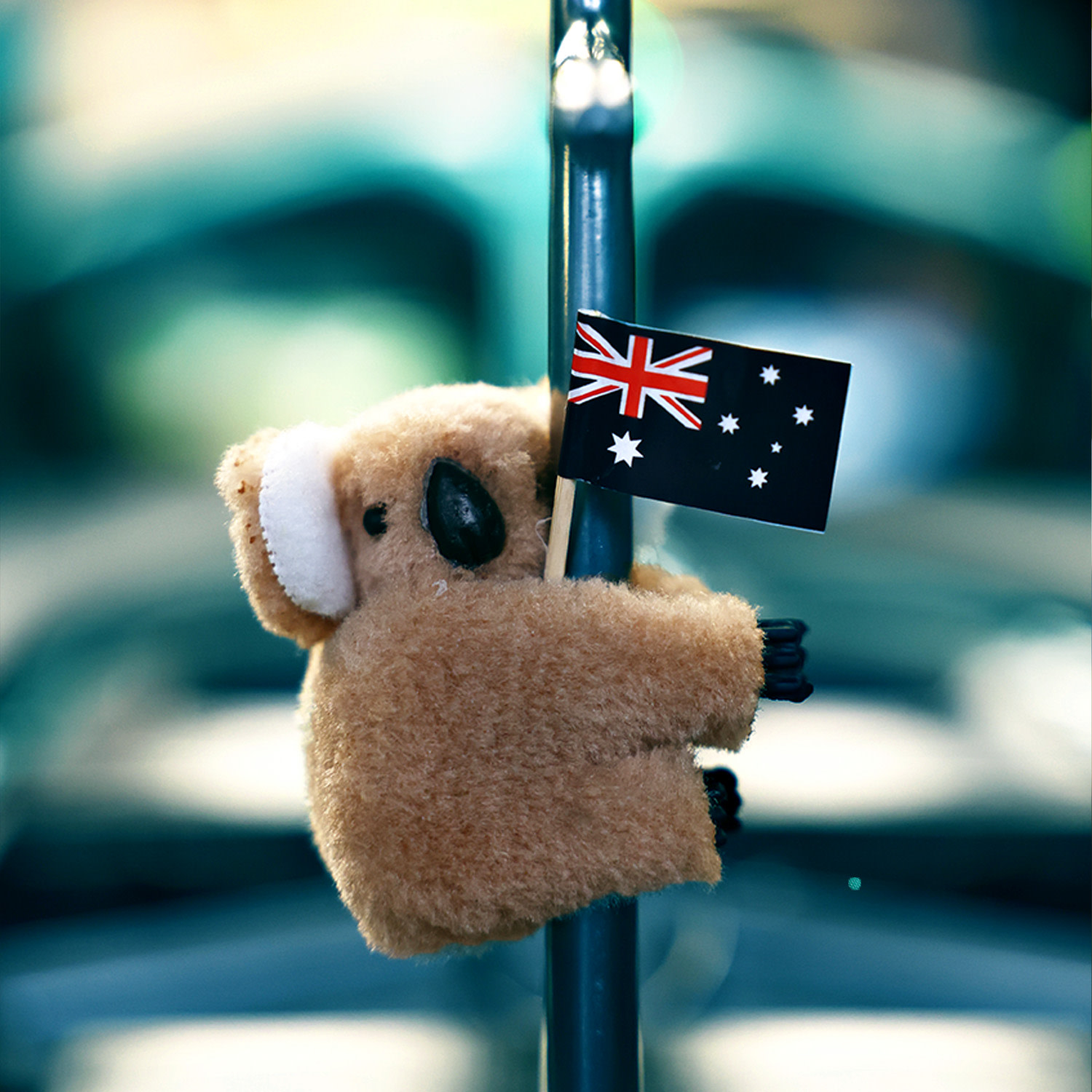 Australia race page small talk 2