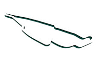 2023 Canadian Grand Prix track map