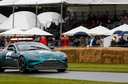 Spectators enjoy a view of the Vantage Safety Car as it drives past