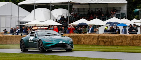 Spectators enjoy a view of the Vantage Safety Car as it drives past